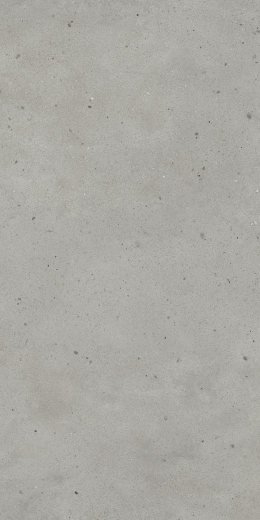 Авангард Сильвер 60X120 Рет