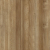 AP67018