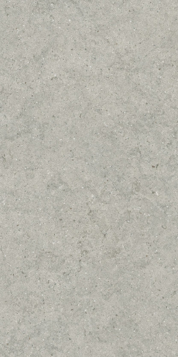 Форум Стоун Сильвер 60X120