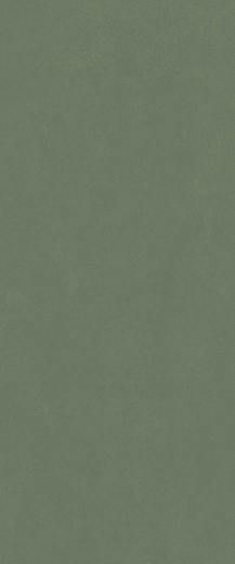 Сер.форест Грин 50X120 Рет