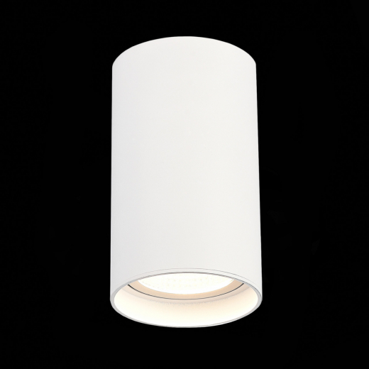 ST157.532.20 Светильник потолочный Белый LED 1*20W 3000K 1 600Lm Ra>90 60° IP44 D95xH150 220-265V - фото, цена