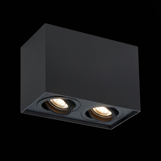 ST109.407.02 Светильник потолочный Черный GU10 2*50W  L181xW100xH123 220V Без ламп - фото, цена