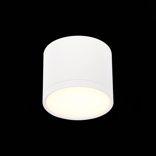 ST113.532.09 Светильник потолочный Белый LED 1*9W 3000K 702Lm Ra>90 120° IP20 D88xH75 170-240V - фото, цена