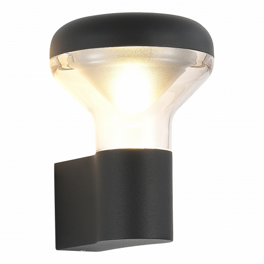 SL9541.701.01 Светильник уличный настенный ST-Luce темно-серый LED 1*6W 3000K - фото, цена