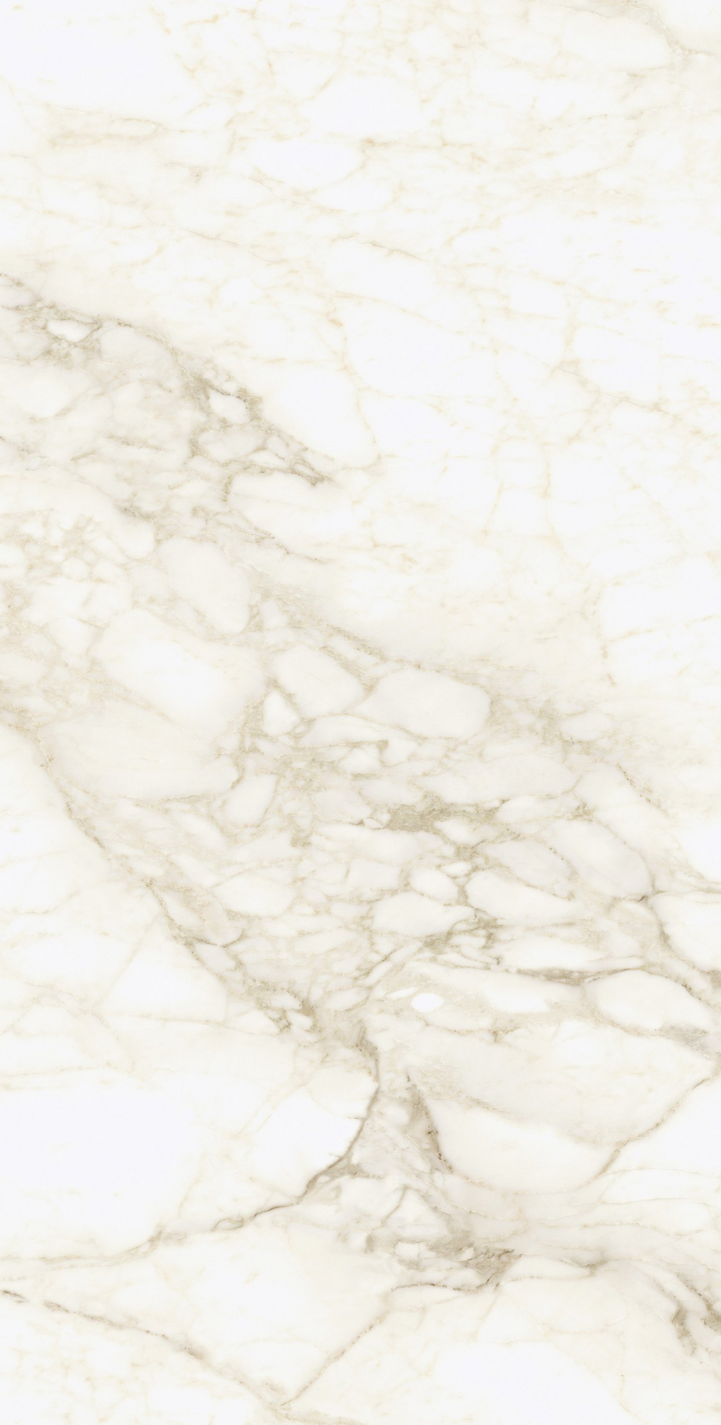 Микеланджело Ворм 60X120 Рет