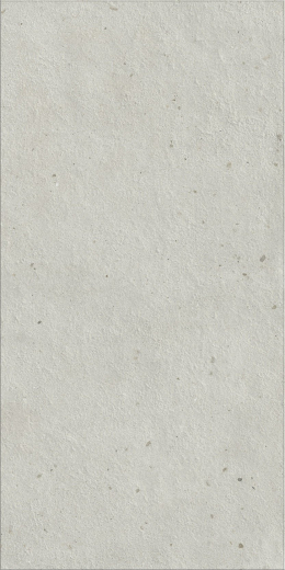Авангард Пьюр 60X120 Рет Х2