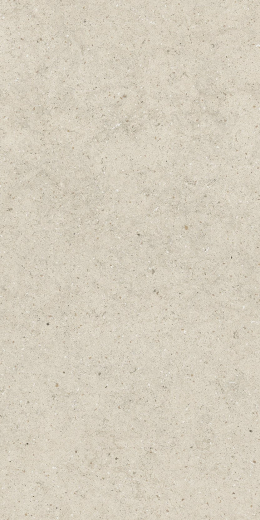 Форум Стоун  Пьюр 60X120