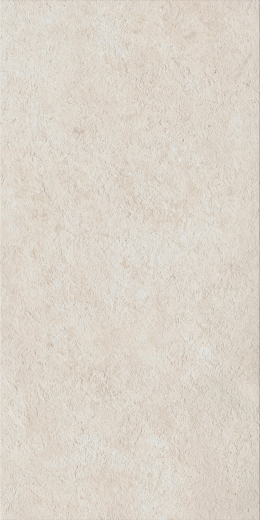 Фоссил Пьюр 60X120 Рет Х2