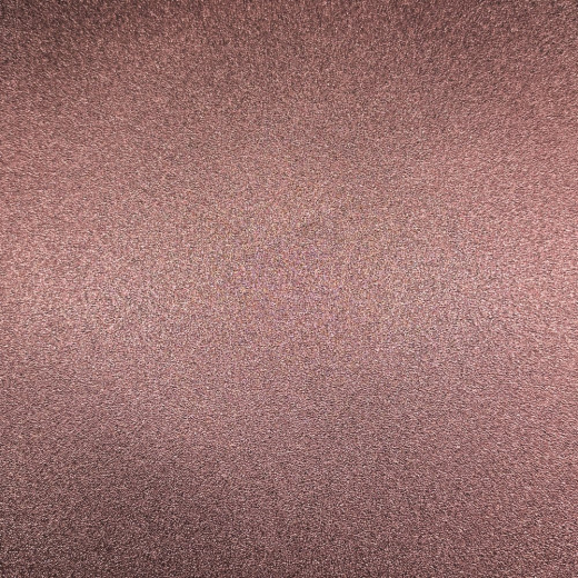 AP95013