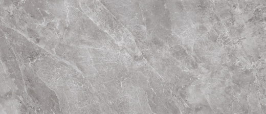 Керамогранит Neodom Titanium Belgium Grey Polished 120x280