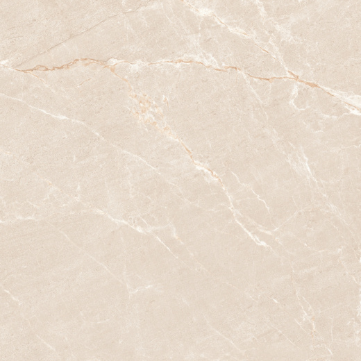 Керамогранит Neodom Sale Persian Beige Matt 120x120