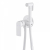 Смеситель ABBER Weiss Insel AF8025W с гигиеническим душем, белый матовый