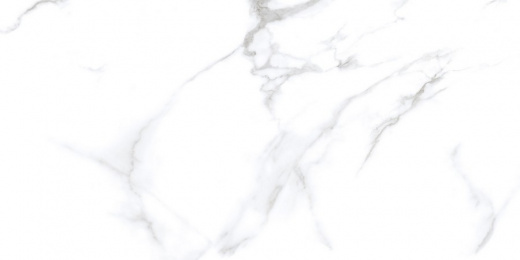 Керамогранит Neodom Classic Marble Statuario Chic Polished 60x120