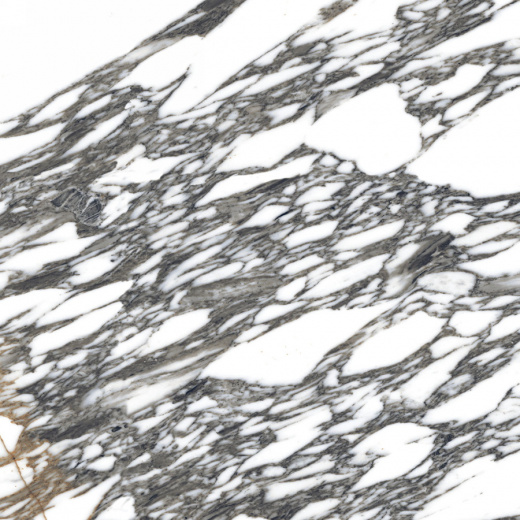 Керамогранит Neodom Sale Marvel Grey Polished 60x60