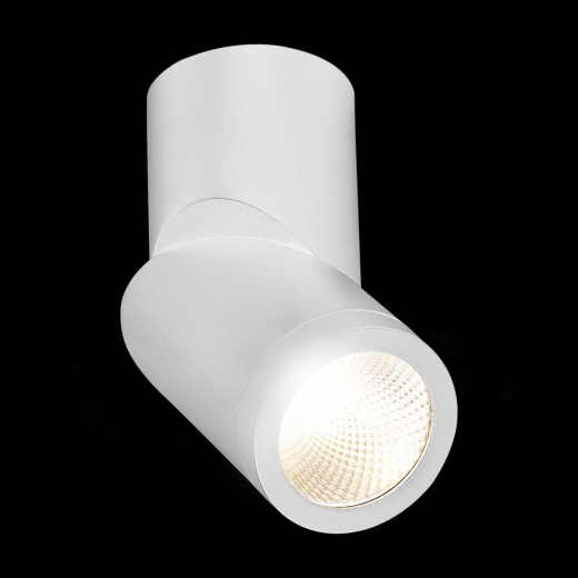 ST650.542.10 Светильник потолочный Белый LED 1*10W 4000K 800Lm Ra>90 38° IP44 D62xH151 165-265V - фото, цена