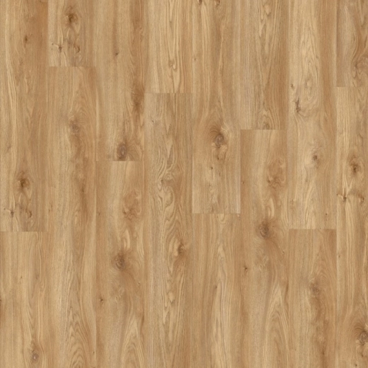 LVT-плитка Moduleo клеевой кварцвинил Roots 55 EIR Sierra Oak 58346Q
