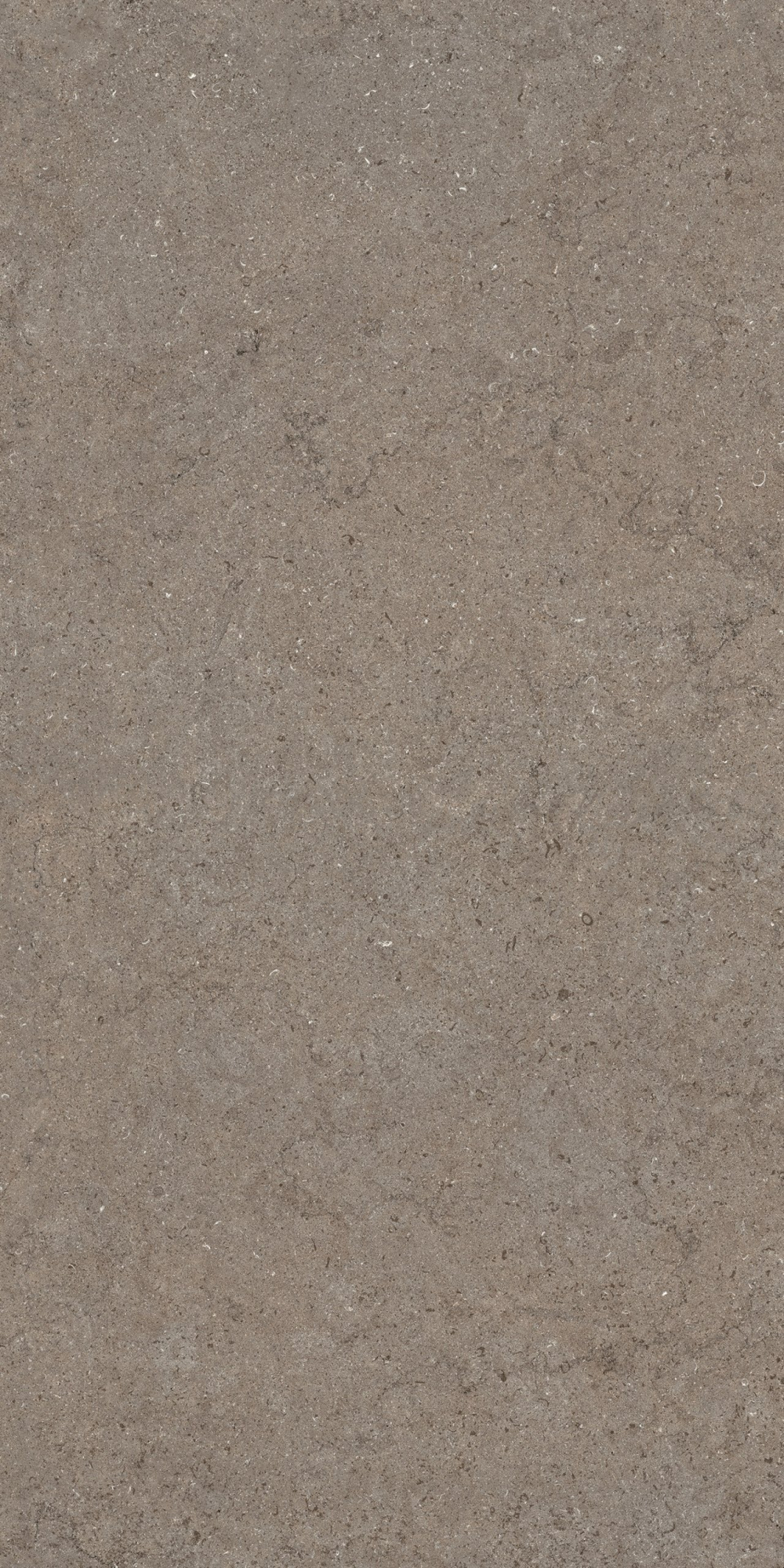 Дискавер Дезерт 60X120 Рет