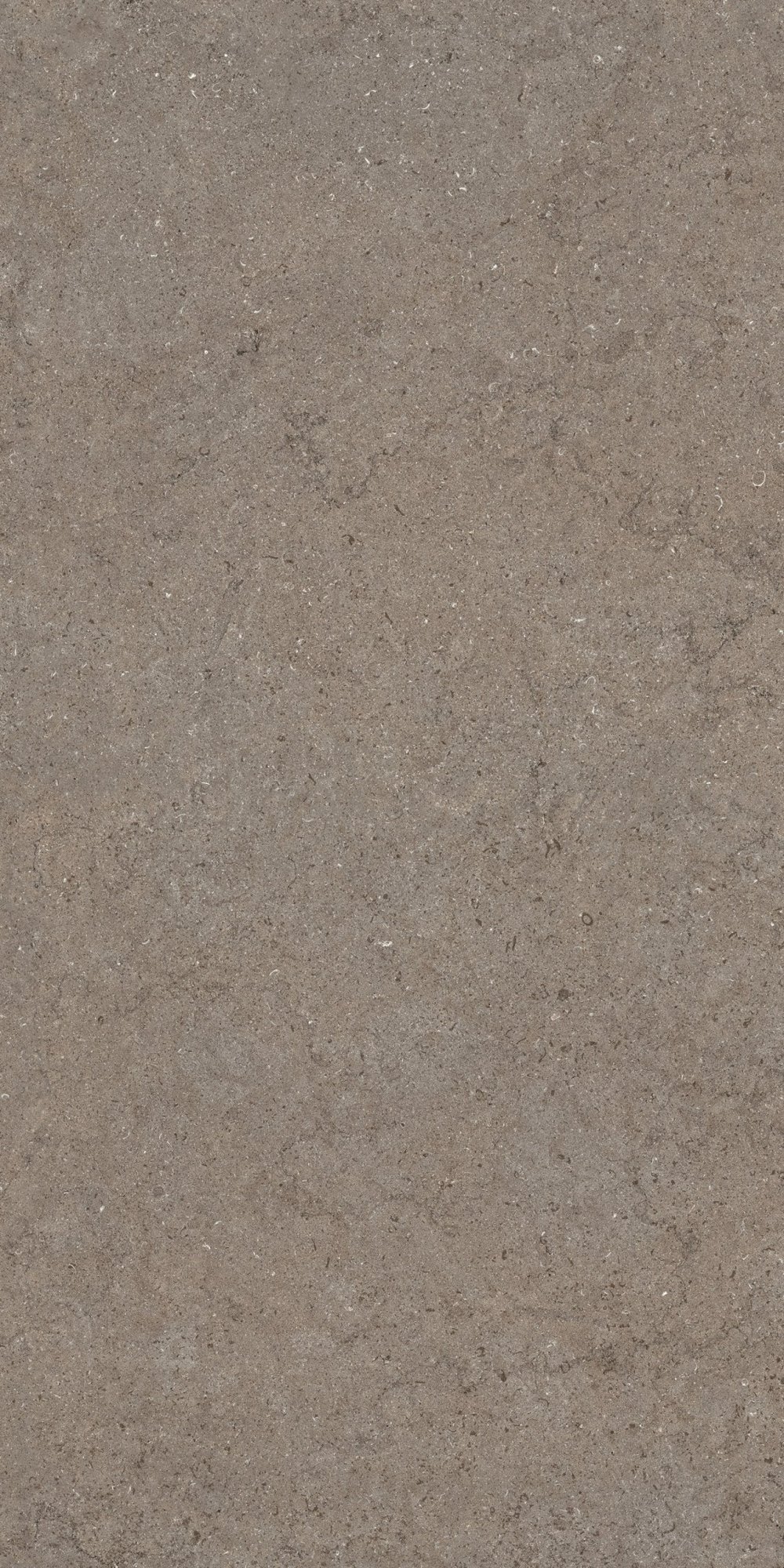 Дискавер Дезерт 60X120 Рет