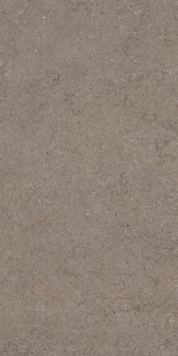 Дискавер Дезерт 60X120 Рет