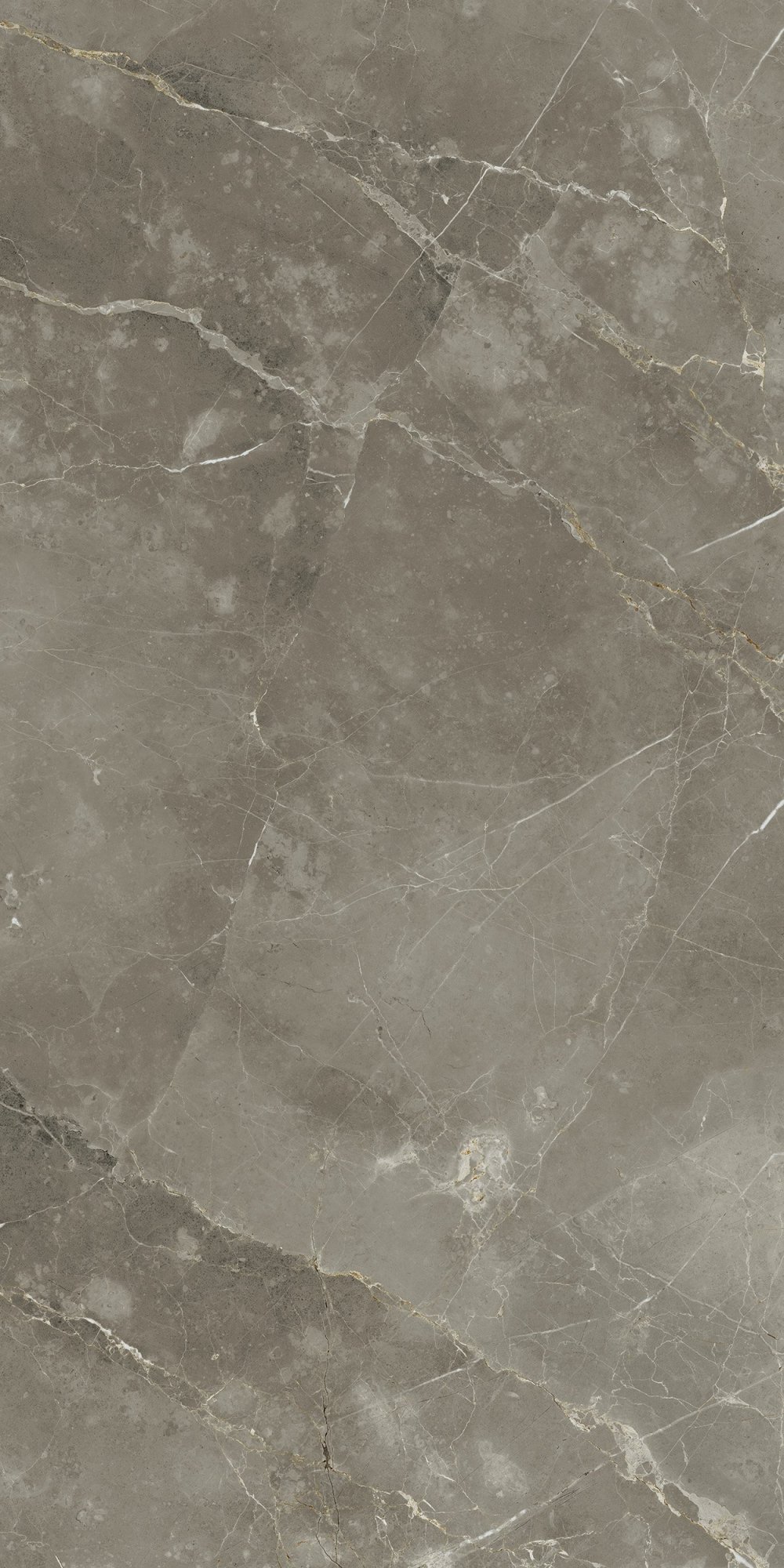 Стелларис Тусканиа Грэй 60X120 Рет