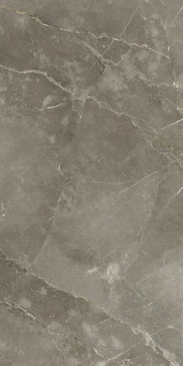 Стелларис Тусканиа Грэй 60X120 Рет