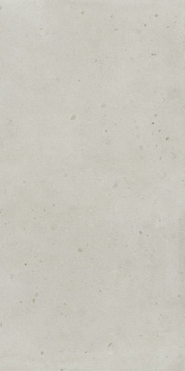 Авангард Пьюр 60X120 Рет