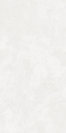 Керамогранит Kerranova Централ Парк Park White Matt. 60x120