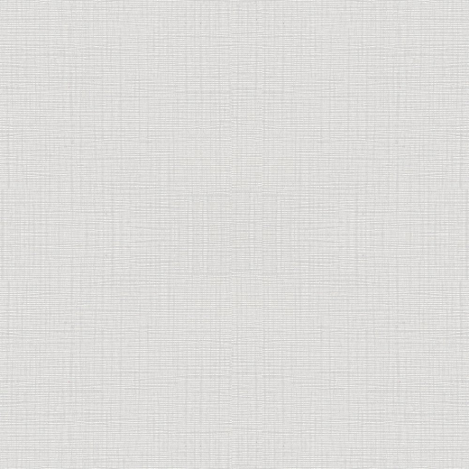 AP1006