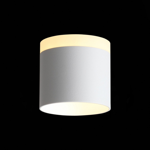 ST102.502.09 Светильник потолочный Белый LED 1*9W 3000K 702Lm Ra>80 120° IP20 D79xH75 170-240V - фото, цена