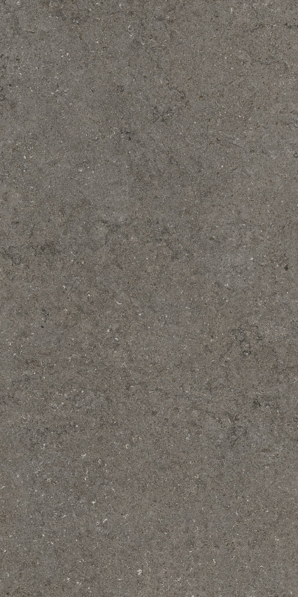 Дискавер Фумэ 60X120 Рет