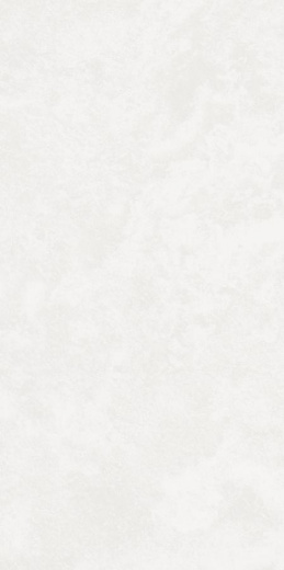 Керамогранит Kerranova Централ Парк Park White Matt. 60x120