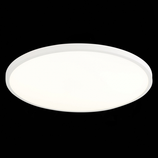 ST601.542.48 Светильник настенно-потолочный Белый LED 1*48W 4000K 4 320Lm Ra>90 120° IP20 D600xH26 1 - фото, цена