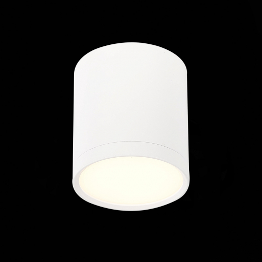 ST113.532.05 Светильник потолочный Белый LED 1*5W 3000K 390Lm Ra>90 120° IP20 D68xH75 170-240V - фото, цена
