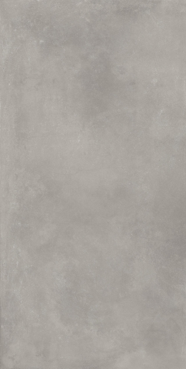 Сан-Сиро Грэй 60X120 Рет