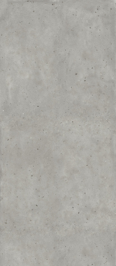 Авангард Сильвер 120X278
