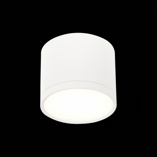 ST113.542.09 Светильник потолочный Белый LED 1*9W 4000K 702Lm Ra>90 120° IP20 D88xH75 170-240V - фото, цена