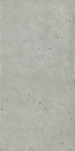 Авангард Сильвер 60X120 Рет Х2