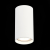 ST157.542.15 Светильник потолочный Белый LED 1*15W 4000K 1 200Lm Ra>90 60° IP44 D75xH140 220-265V - фото, цена