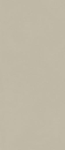 Форум Слим Дезерт 120X278