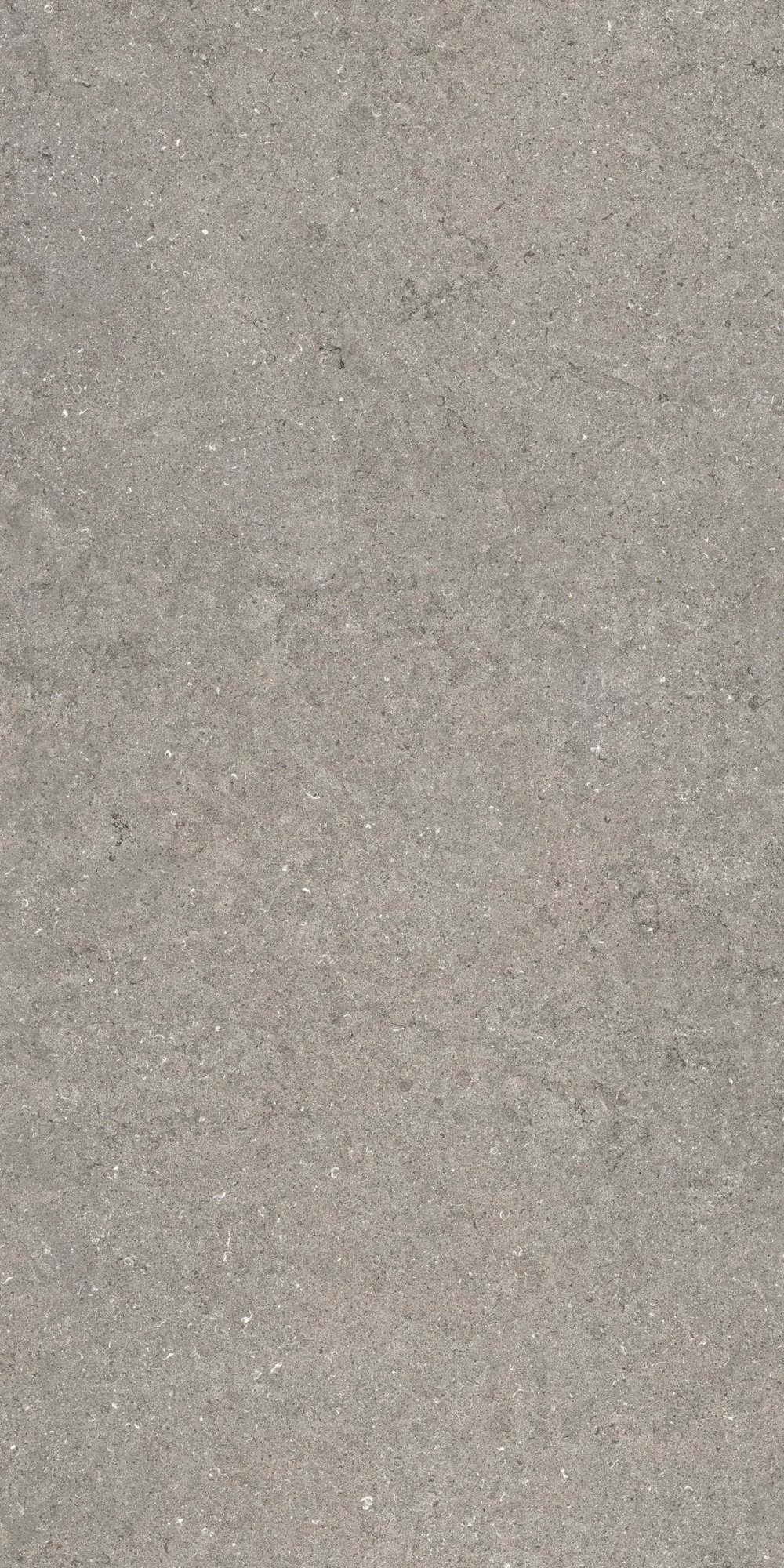 Дискавер Грэй 60X120 Рет