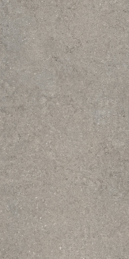 Дискавер Грэй 60X120 Рет