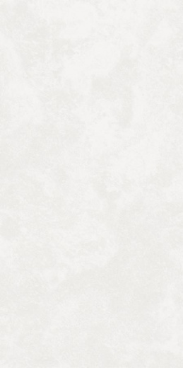 Керамогранит Kerranova Централ Парк Park White Matt. 60x120