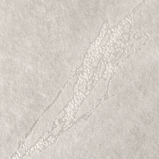 Керамогранит Neodom Marble Bayona Grey Carving 80x160