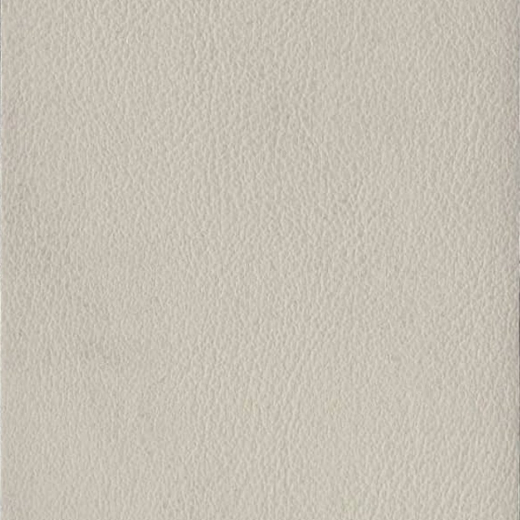AP10-1088