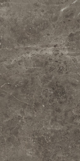Рум Стоун Грэй 30X60 Пат