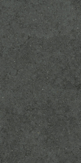 Форум Стоун Петрол 60X120
