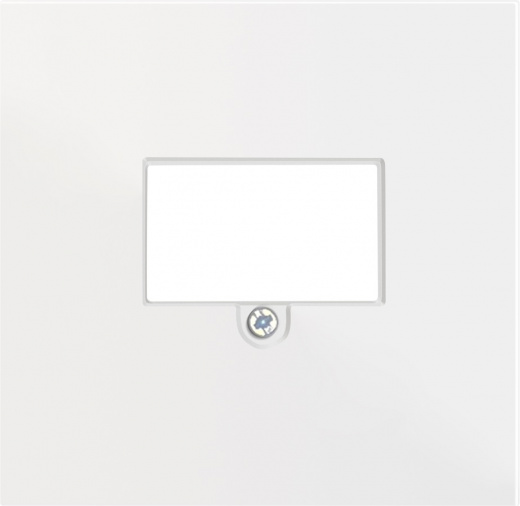 Накладка стандарта TAE для розеток USB, HDMI, аудио, серия R98