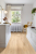 LVT-плитка Moduleo клеевой кварцвинил Roots 55 EIR Galtymore Oak 86237BE