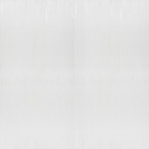 AP1008