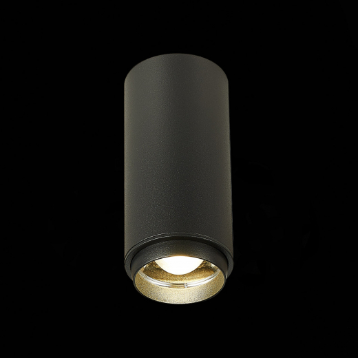 ST600.442.10 Светильник потолочный Zoom Черный LED 1*10W 4000K 1 000Lm Ra>80 15-60° IP20 D59xH130 17 - фото, цена